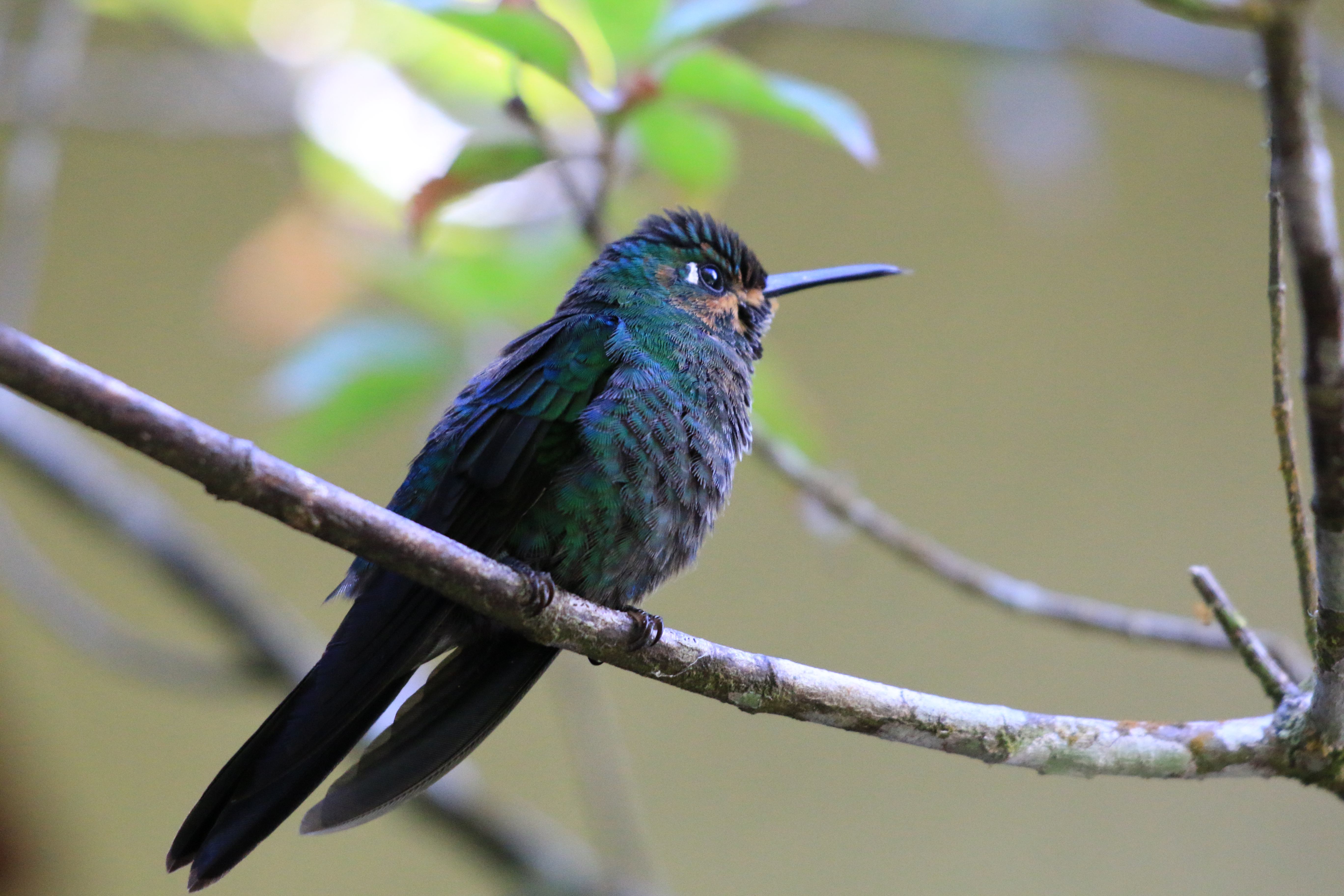 Costa Rica